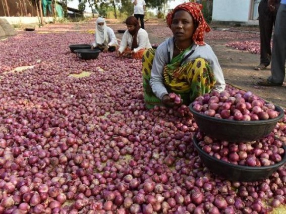 Onions export ban to be lifted from March 15: Centre