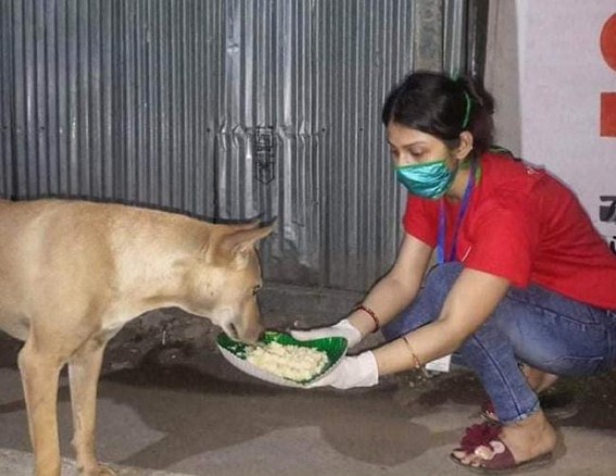 PAWSOME NGO feeds over 200 street Dogs daily in Agartala on Lockdown days 