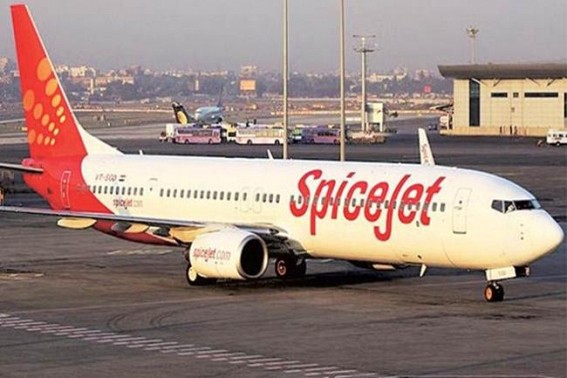 SpiceJet plane brings back medical supplies from Singapore