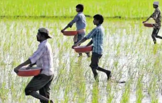 Tripura Govt gears up to save Agriculture if Lockdown Extended