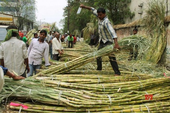 Yogi govt to give sugar to cane growers in lieu of dues