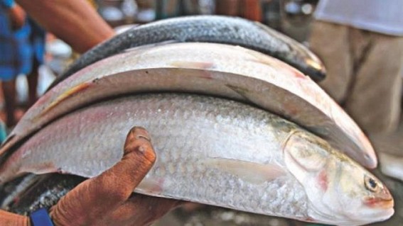 Tripura to expand Fish Farming business : State Govt to focus more on primary sectors for overall growth 