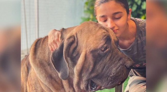 Alia Bhatt poses with Ranbir's pet dog