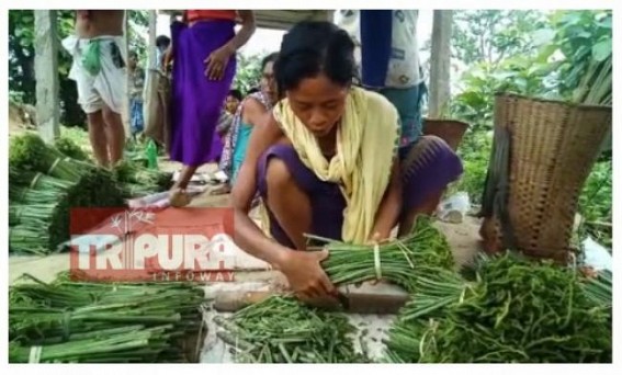 Lockdown downs Rural Markets in Tripura : Jhumia families in massive troubles in lack of customers  