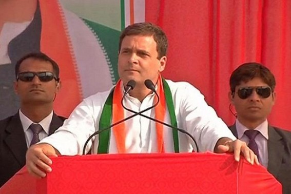 Centre should support locust-hit states, farmers: Rahul Gandhi
