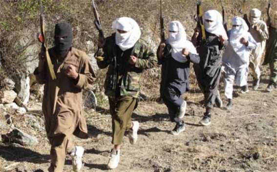 Al Qaeda active in 12 Afghan provinces: UN