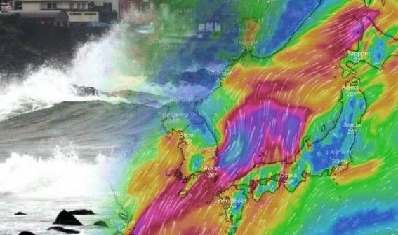 Typhoon Jangmi makes landfall in S.Korea