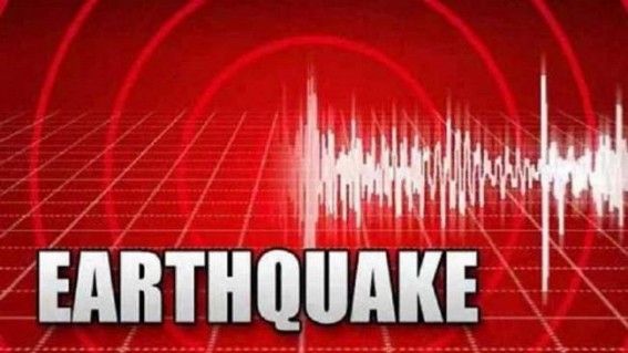 Quake hits Assam, no damage reported