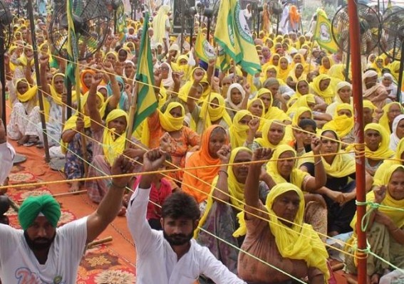 Farmer protests rock Punjab-Haryana, lukewarm response in K'taka