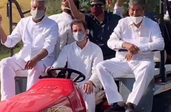 Rahul's tractor rally stopped briefly on Haryana border, later allowed