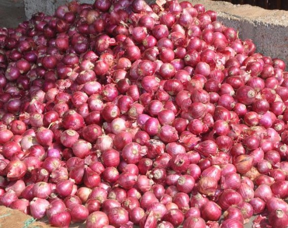 Export of certain onion varieties in limited quantities allowed