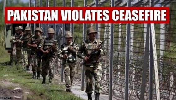 Pak violates ceasefire in J&K, lose around 7 soldiers