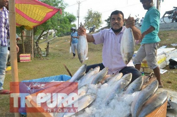 Tripura : Bengaliâ€™s favourite â€˜Hilsa Fishâ€™ at Crisis on â€˜Naba-Barshaâ€™ 