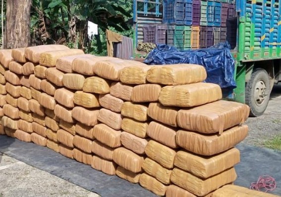 Large quantity of Cannabis seized by Tripura police worth Rs. 1 Crore