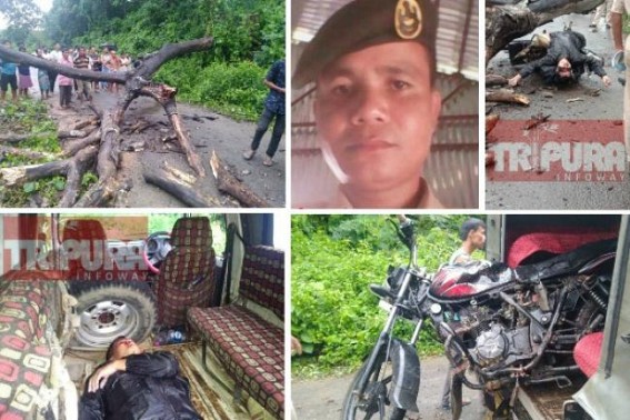 Tragic End ! TSR Jawan died in horrifying road mishap after tree collapsed on his running Bike