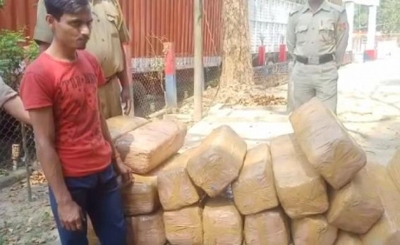 315 kg ganja seized, 1 arrested