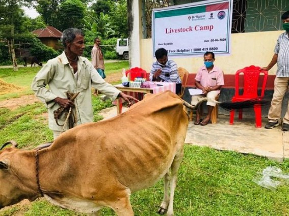 Livestock Farmers get advisories and benefits from Reliance Foundation