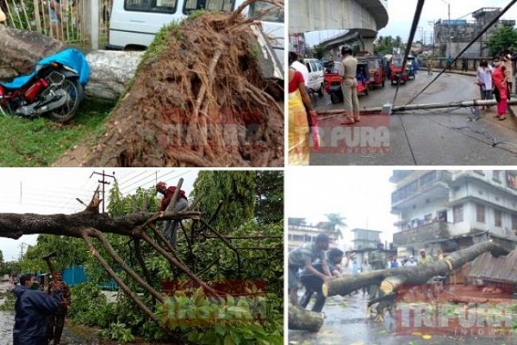 Massive damages across Tripura after rain, storms hit Northeast region, CM orders restoration of cut services by 3 days : Power disruption as electric posts collapsed 