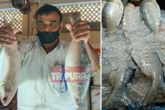 Hilsa Fish price shoots up to Rs. 1600 to Rs. 2000 in Agartala ahead of â€˜Jamai Shashthiâ€™ : Chicken, mutton rates also heated up markets