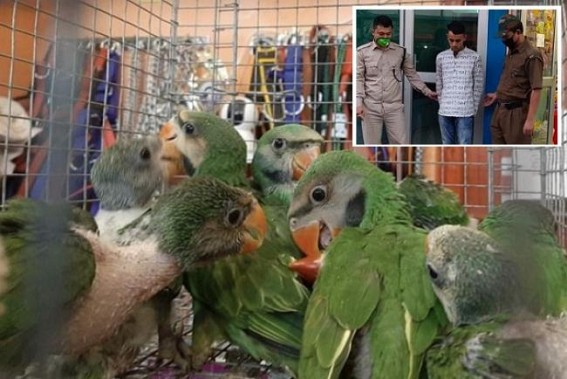 PAWSOME NGO's sting operation unearthed illegal wildlife smuggling racket 