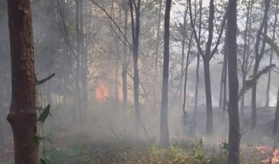 Miscreants set fire in Rubber garden in Amarpur
