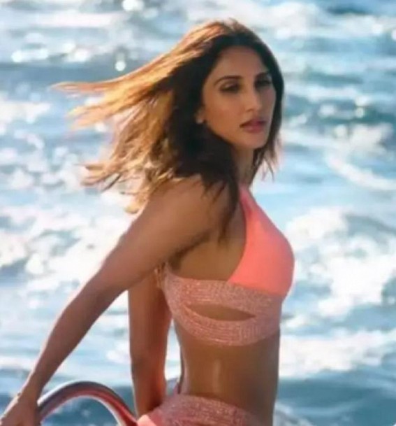 Vaani Kapoor sets temperatures soaring in new picture