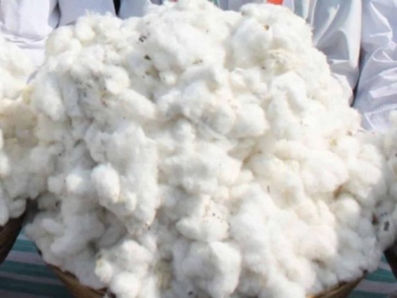 'US ban on Xinjiang cotton cranks-up India's yarn exports'