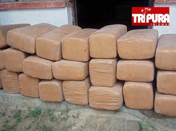 Huge amount of dry Cannabis recovered : 476 kg Cannabis worth Rs 25 lakhs recovered from six-wheeler lorry in Teliamura 
