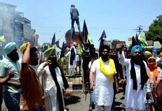 Farmers protesting farm laws in Punjab, Haryana observe 'Black Day'