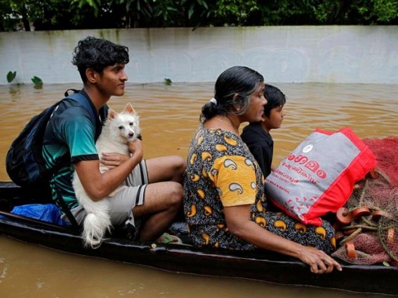 Maha flood situation eases, toll climbs to 192, 25 still missing