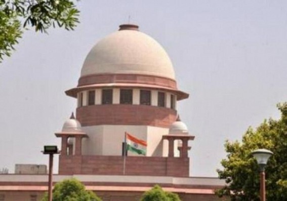 Rights, freedoms shouldn't be used by private biz to avoid regulation: SC