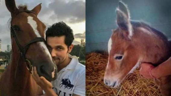 Randeep Hooda names newborn foal Hope after his mother Asha 