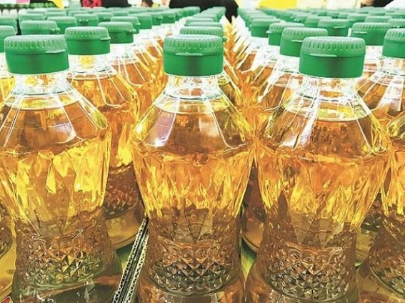 Oil palm mission relaunched with focus on NE states, A&N Islands