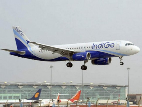 IndiGo to recommece UAE bound flights from Aug 20