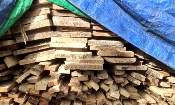 1 booked in Wood-Smuggling charge