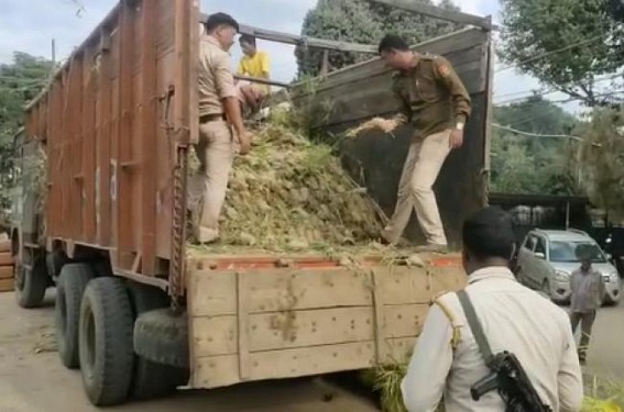 785 kg Ganja Seized, 2 arrested by Kumarghat Police