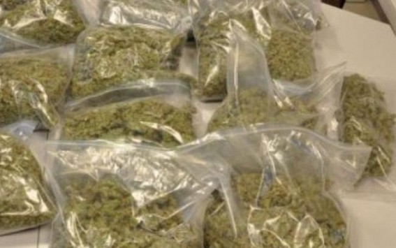Huge amount of dry cannabis recovered by Kalamchaura PS, Sepahijala
