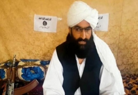 We're fighting Pakistan's war from within the territory of country: TTP chief