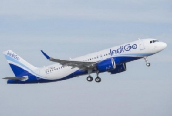 High-pitched argument between passenger & crew member of IndiGo flight