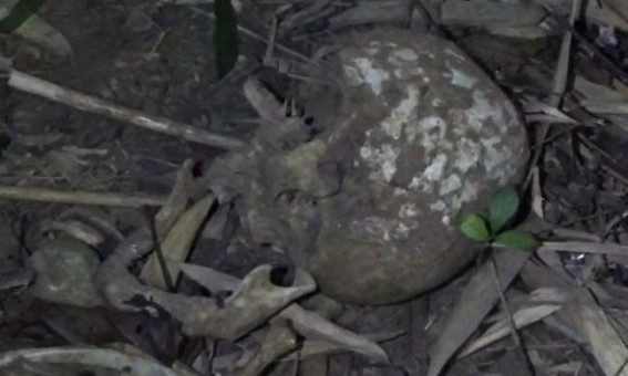 Human Skeleton Found in Champaknagar