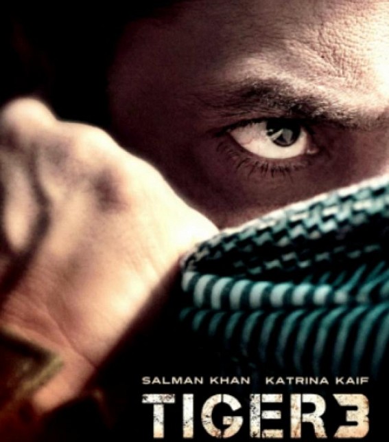 Rs 35 cr set to be constructed for Salman-SRK's sequence in 'Tiger 3'