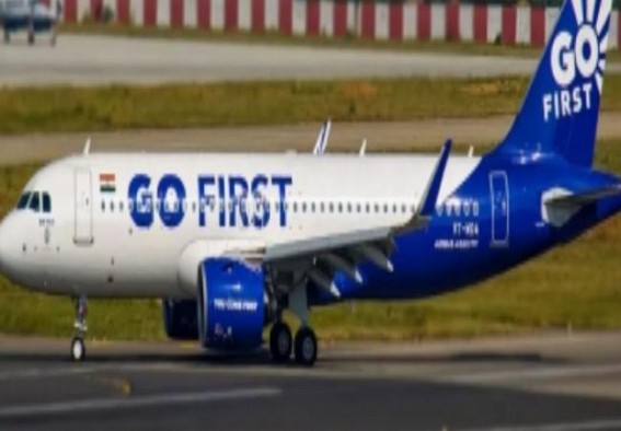 Delhi HC asks Go First's RP to submit affidavit on contempt allegations on non-maintenance of aircraft