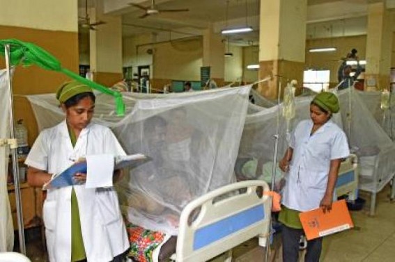 Dengue Deaths are Increasing in Bangladesh Dengue Deaths are Increasing in Bangladesh