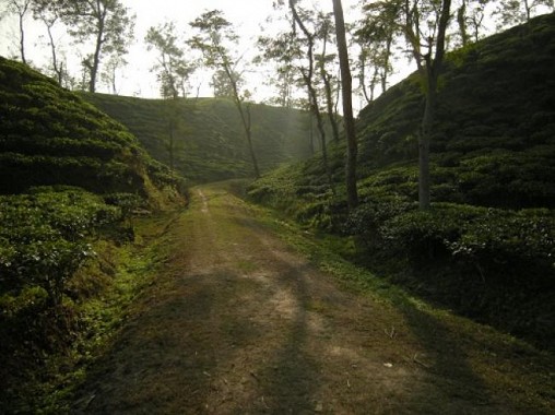 Kailashahar -North Tripura 