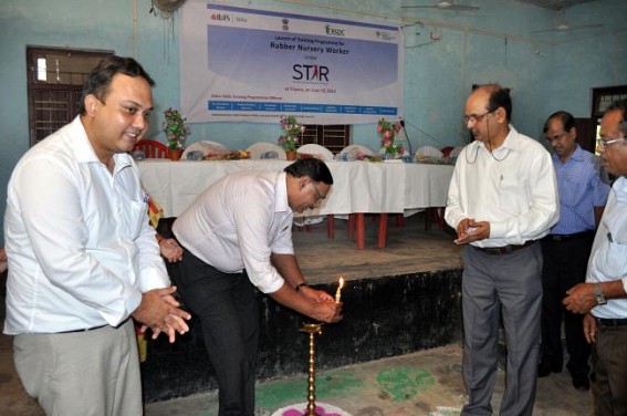 Training programme launched for skill development of rubber workers