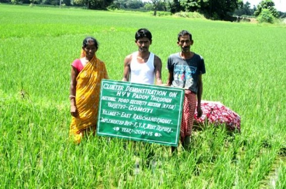 National Food Security Mission implemented by Krishi Vigyan Kendra