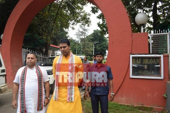 BJP leaders meet Governor 