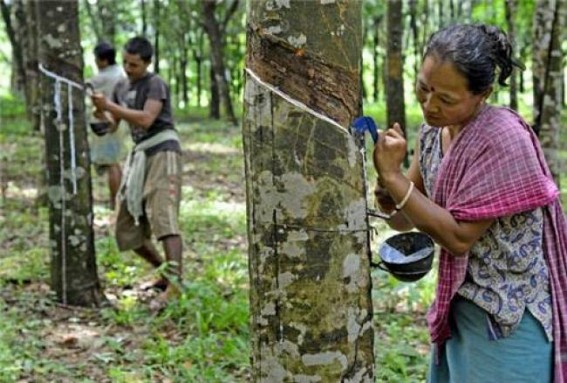 Tripura revises Industrial Policy