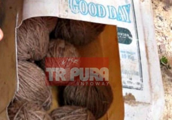 Fake pistol, bombs recovered at Kailashahar