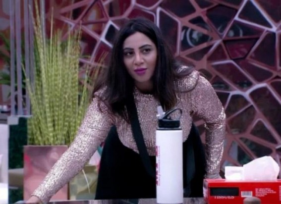 Bigg Boss 14: Season runs high on girl power